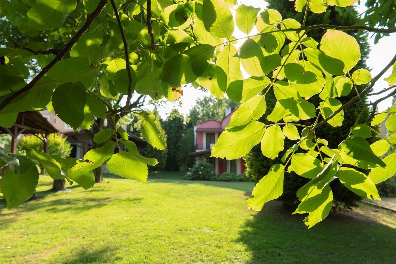 Kirkpinar Konaklari Villa Sapanca Exteriör bild